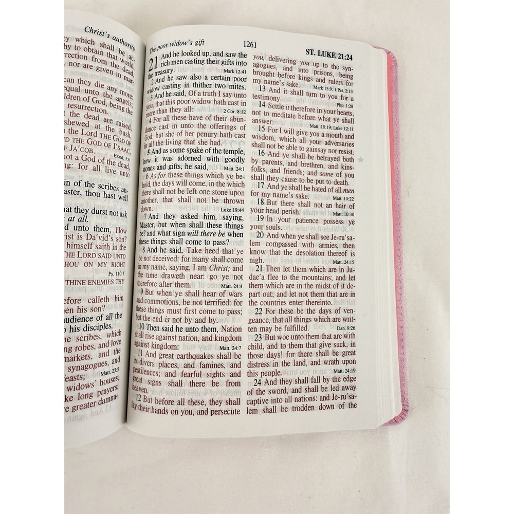 KJV Giant Print Reference Bible Pink Holman Hand Size King James Version - Picture 12 of 12